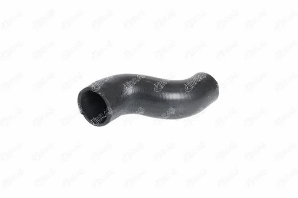 Radiator Hose (21555)