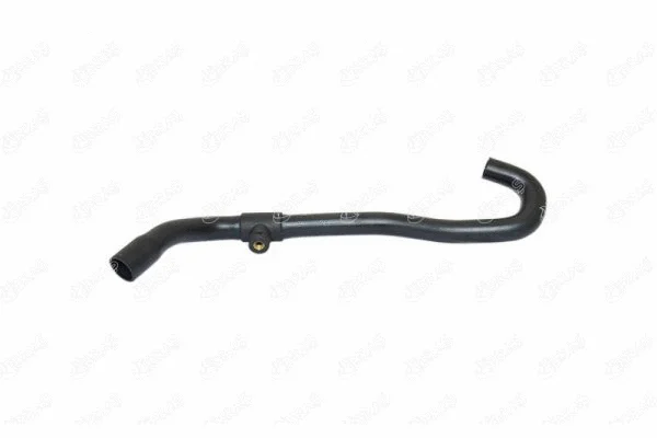 Radiator Hose (11613)