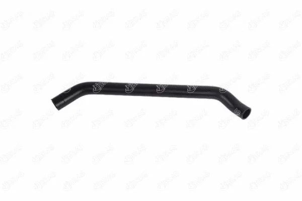 Radiator Hose (27126)