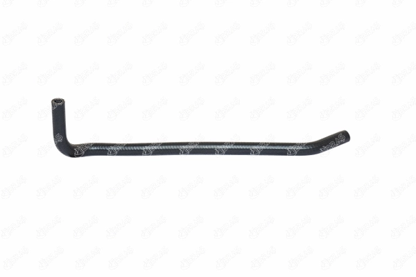 Radiator Hose (11171)