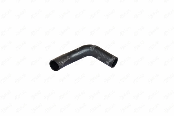 Radiator Hose (11102)