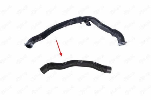 Radiator Hose (19542)