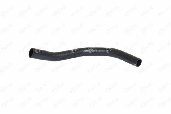 Radiator Hose (19761)