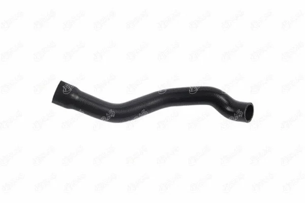 Radiator Hose (33166)