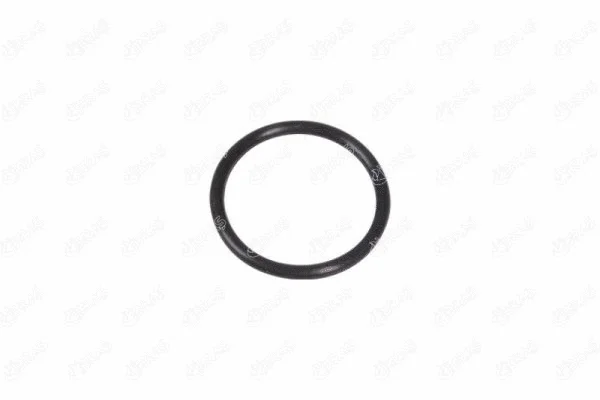 Seal, coolant pipe (27591)