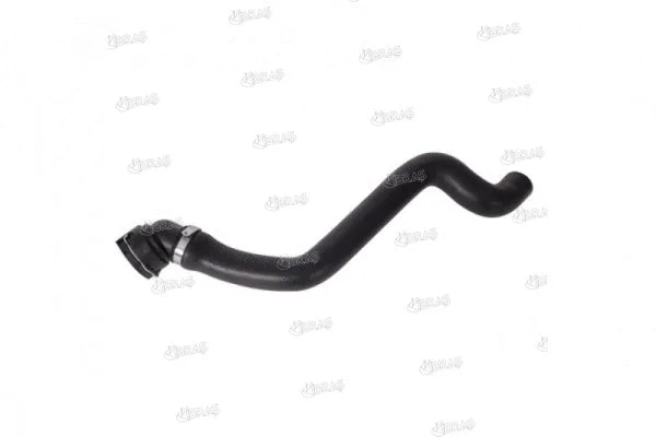 Radiator Hose (13931)