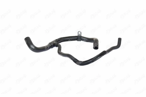 Radiator Hose (11842)