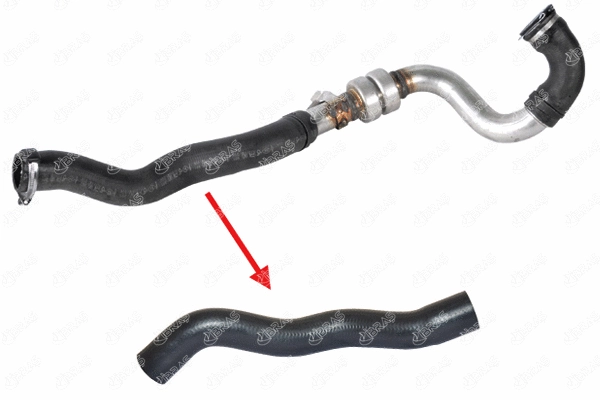 Charge Air Hose (11179)