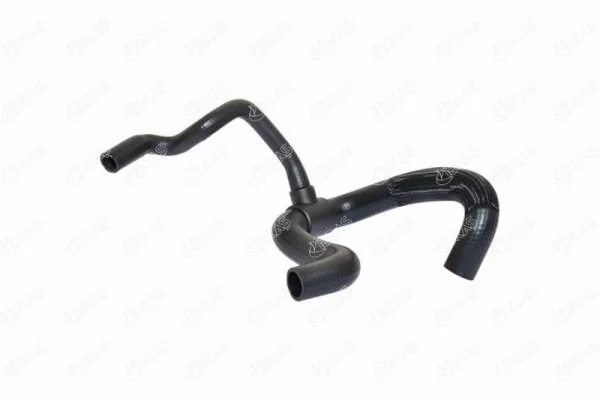 Radiator Hose (19804)