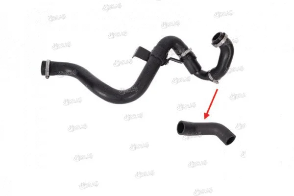 Charge Air Hose (11717)