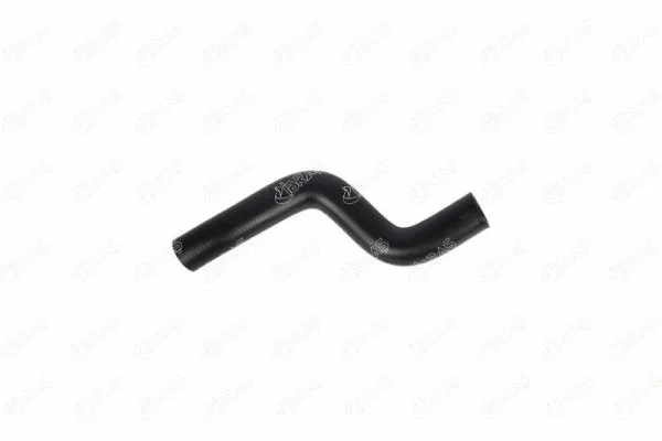 Radiator Hose (25651)