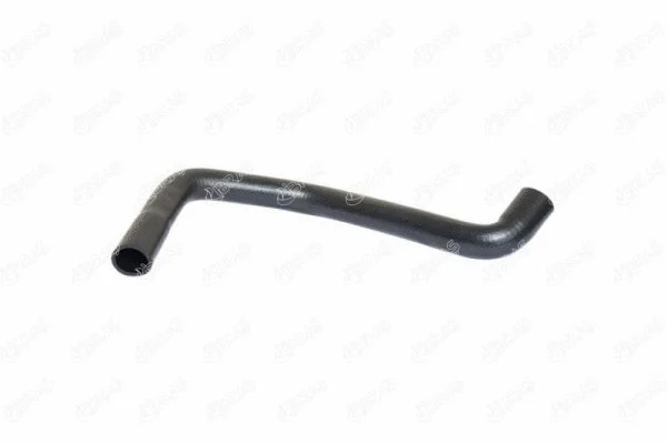 Radiator Hose (19864)