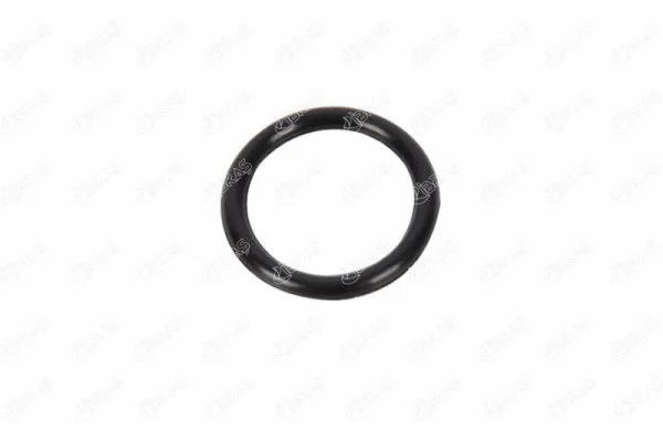 Gasket, coolant pipe (21175)