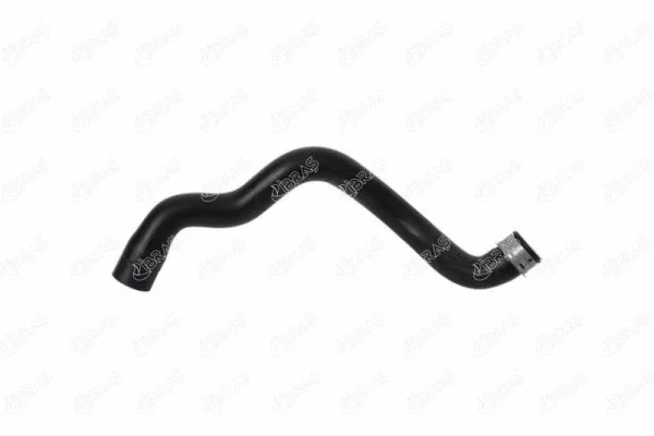 Radiator Hose (33539)