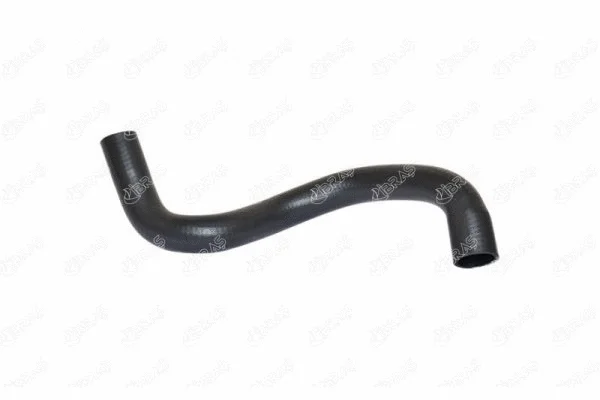 Radiator Hose (11760)