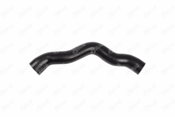 Radiator Hose (33523)