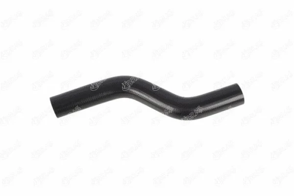 Radiator Hose (22823)