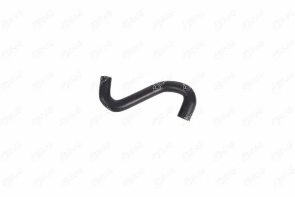 Radiator Hose (27279)