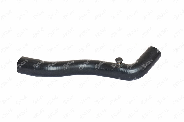 Radiator Hose (11411)