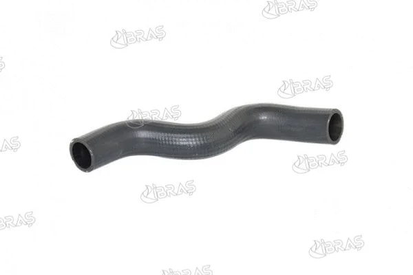 Radiator Hose (17231)