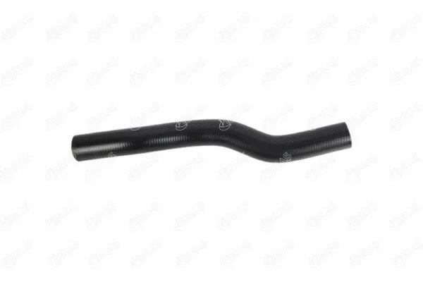 Radiator Hose (22821)