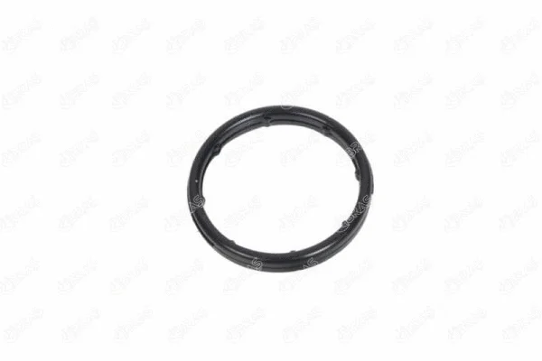 Seal Ring, oil cooler (21176)