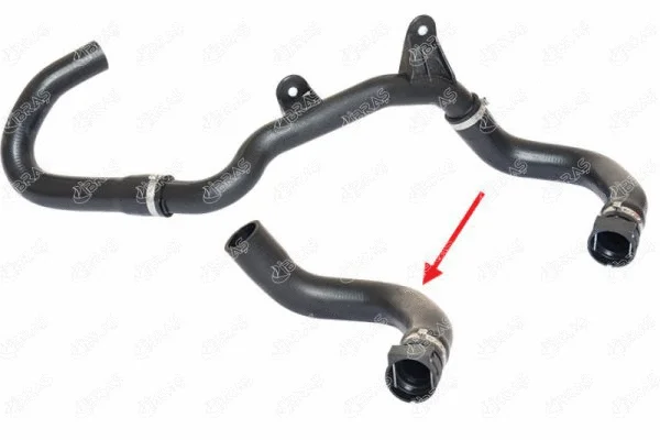 Radiator Hose (14819)