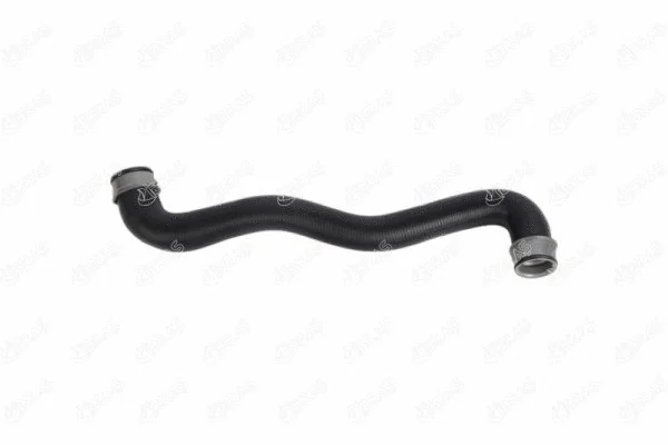 Radiator Hose (33116)