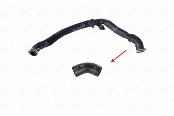 Radiator Hose (19543)