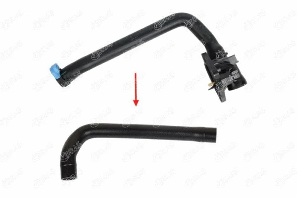 Radiator Hose (35174)