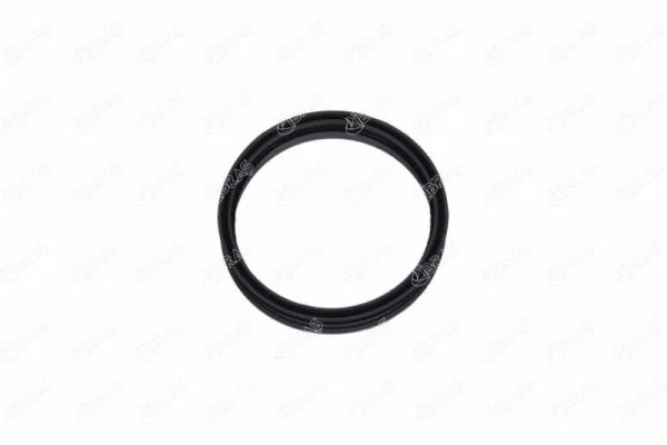Seal, fuel tank cap (27220)