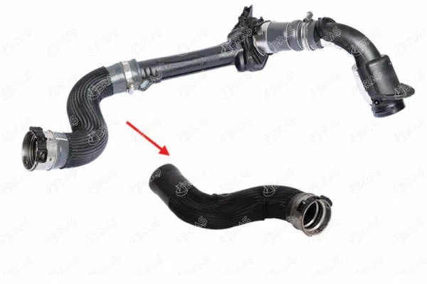 Charge Air Hose (11598)