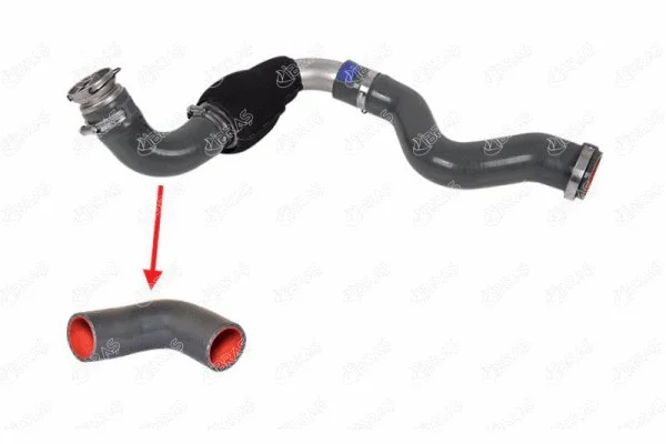Charge Air Hose (12321)