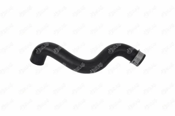 Radiator Hose (33536)