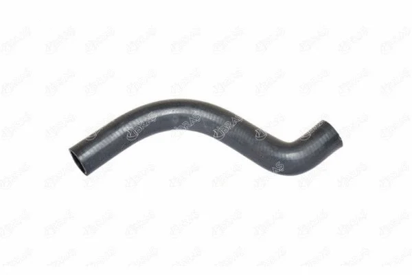 Radiator Hose (12125)
