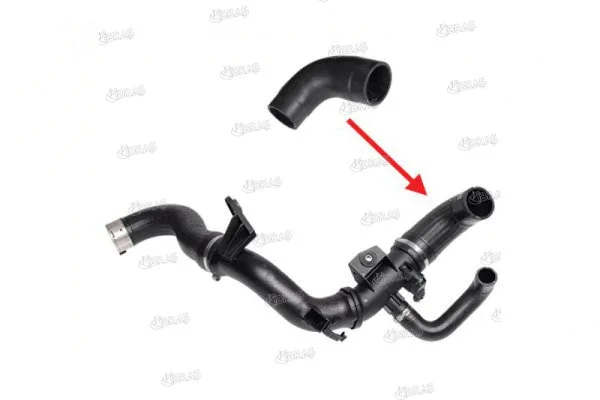Charge Air Hose (13131)