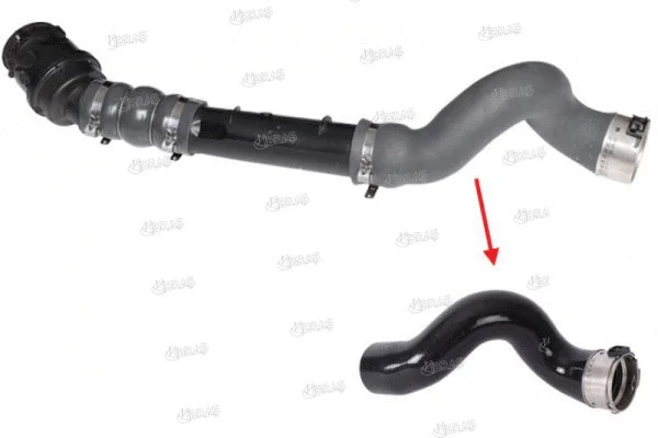 Charge Air Hose (11774)