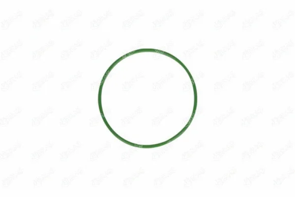 Seal, fuel tank cap (15158)