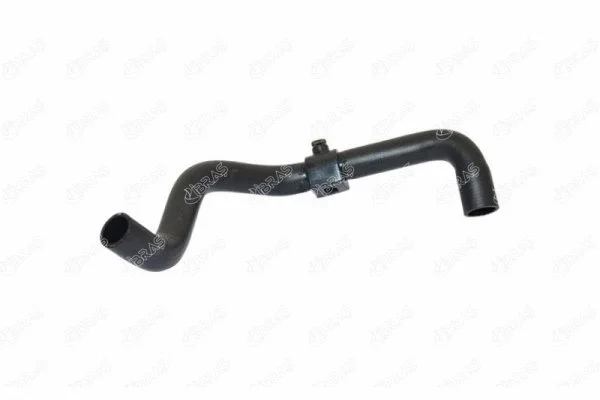 Radiator Hose (12004)