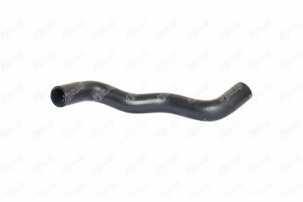Radiator Hose (11523)