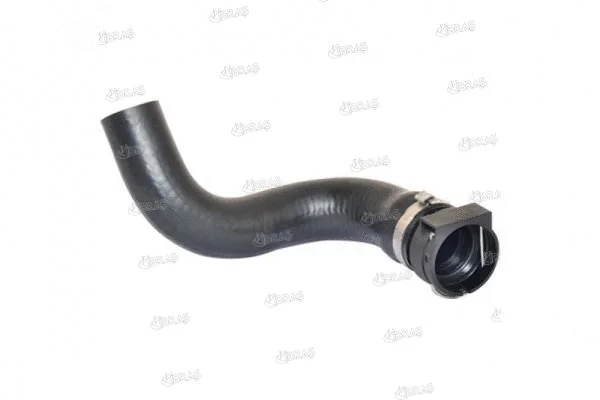Radiator Hose (13806)