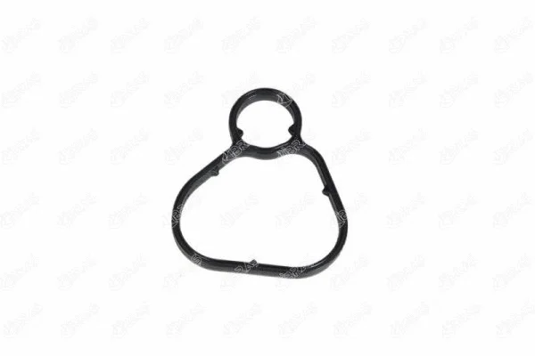 Seal, oil filter (21178)