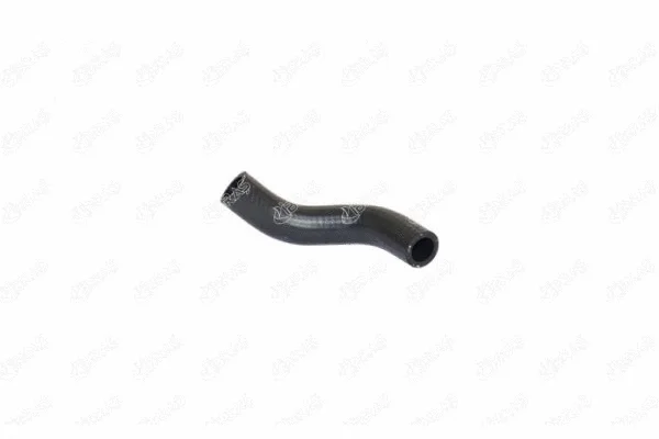 Radiator Hose (21255)