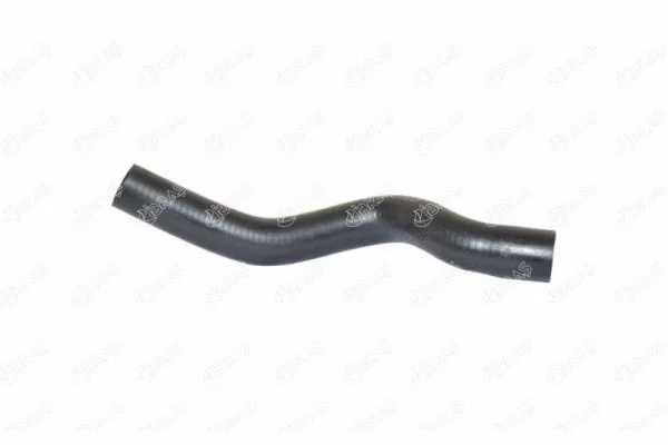 Radiator Hose (12117)