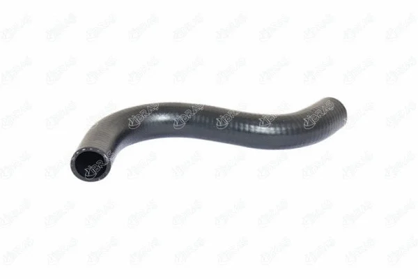 Radiator Hose (19701)