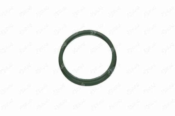 Seal, fuel tank cap (27222)