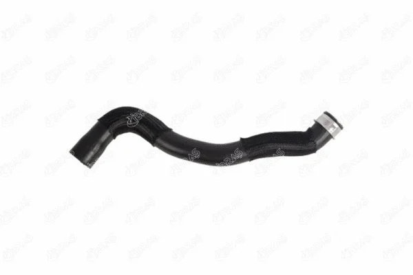 Radiator Hose (33105)