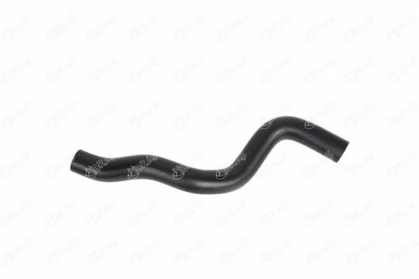 Radiator Hose (19142)