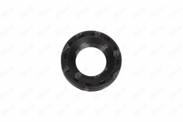 Seal Kit, injector nozzle (19698)