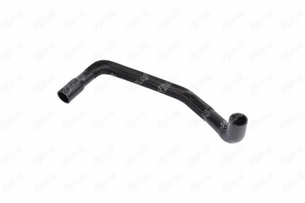 Radiator Hose (19852)